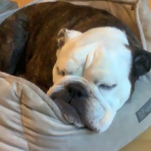 Meet your Posher, Marci